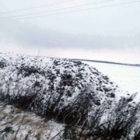 Переробляти буряк заводи не поспішали