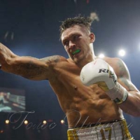 Усик — чемпіон WBO і WBC, а також фіналіст WBSS!