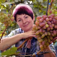 Як зробити нашу продукцію впізнаваною в Європі