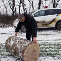 Крадені колоди скидали під колеса поліції
