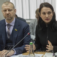 Голова підкомітету з питань...