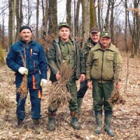 ...І шумітимуть дубові гаї!