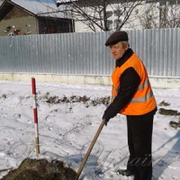 Хто пастиметься на сонячних панелях