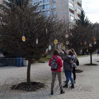 Вулиці одягли у святкове вбрання