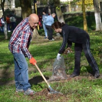 Толока на Закарпатті