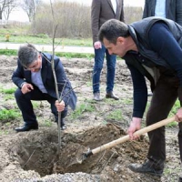 На згадку про Леонтовича зашумить діброва