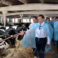 Олег Ляшко вимагає заборонити використання пальмової олії