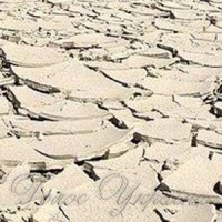 На розпеченій землі нічого не виростиш