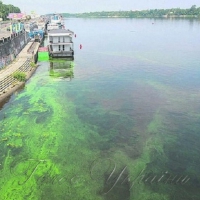 Помирає головна водна артерія країни