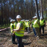 Ліс любить обережних
