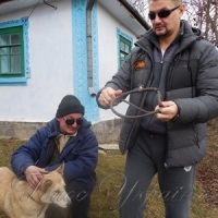Один поводир на півтори тисячі незрячих