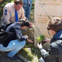 У Португалії вихідці з Тернопільщини садили чорнобривці