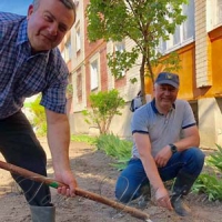 У старовинному Дубно побільшало троянд