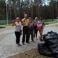 Толока у Биківні