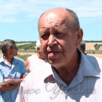 Мертві бджоли не гудуть і меду не носять...
