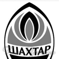 Чемпіону вручили нагороди