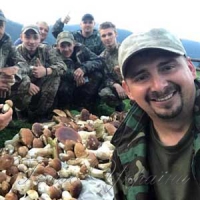 І грибів назбирати, і зцілитися