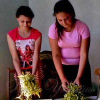 Дружні, завзяті, працелюбні