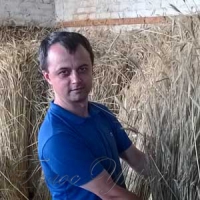 Де роздобути солому для покрівлі старих хат?