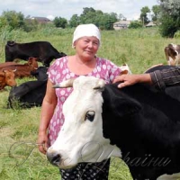 «...А в дідівських хатах провалюються дахи!»