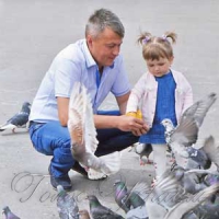 Дитинство і голуби...