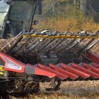 На Львівщині завершується обмолот ранніх зернових 