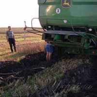Ячмінь не придатний для пивоваріння, а пшениця - для хліба