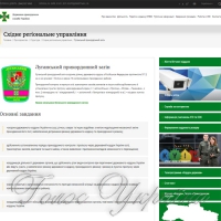 Залізнична колія  десять разів перетинає межу з РФ