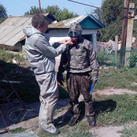 Обережно, атакують шершні!
