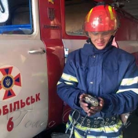 Горить трава, страждають тварини