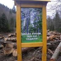 Ліс принишк, сокири чути...