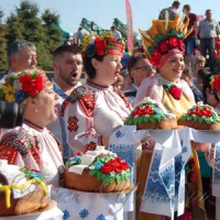 Комори тріщать від зерна, а хліб дедалі дорожчає
