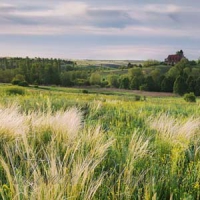 Жодна з природних зон не зазнала  таких катастрофічних змін, як степова