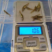 До Київського моря  переселяють рибу