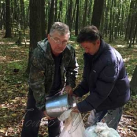 Заготівля якісного насіння —  основа міцного лісу