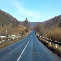 Розширення бази оподаткування місцевих бюджетів за рахунок  лісових земель чи доведення лісгоспів до банкрутства?