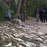 Завдали збитків  на 100 тисяч 