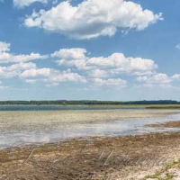 Світязь великий, але беззахисний