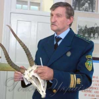 Секрет лікувальних… рогів, або…