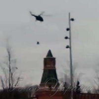 Хто там у сітці?..