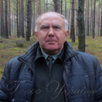 І пиломатеріали, і паливні брикети, і мариновані гриби...