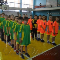 Змагання з гандболу повернулися
