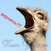 ДОШКА ПОШАНИ