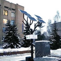 «Сонячне дерево»  з’явилося біля  декомунізованого постаменту