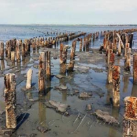 «Мертве море» даруватиме здоров’я