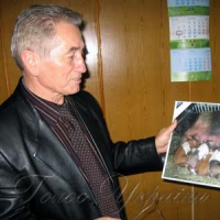 Хай Жовта Свиня  не буде для нас золотою…