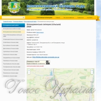 Громада хоче вкрити всі тротуари плиткою
