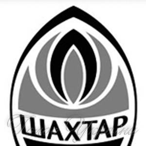 «Шахтар» проводить збір у Туреччині