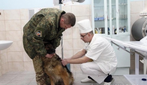 У Хмельницькій області відкрили пересувний шпиталь для собак