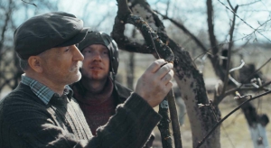 «Дивись українське!». Народний проект у професійному виконанні